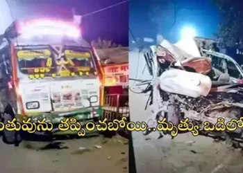 జంతువును కాపాడబోయి ట్రక్కును ఢీకొన్న కారు.. ఇద్దరు చిన్నారులు సహా ఐదుగురు మృతి!