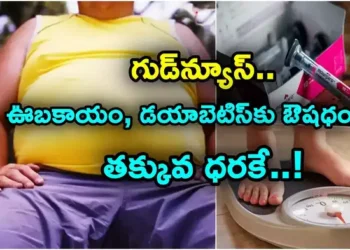 Mounjaro Cost: గుడ్‌న్యూస్.. ఊబకాయం, మధుమేహానికి భారత్‌లో తొలిసారిగా ఔషధం.. ధరెంతంటే?