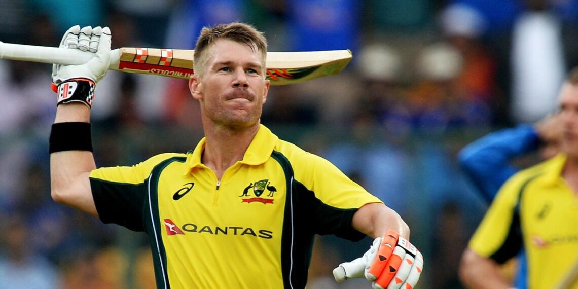 డేవిడ్ వార్నర్ టాలివుడ్ ఎంట్రీ…