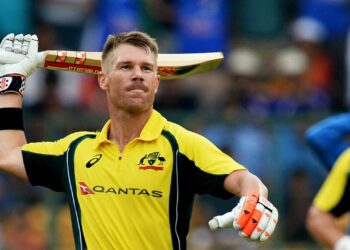 డేవిడ్ వార్నర్ టాలివుడ్ ఎంట్రీ…