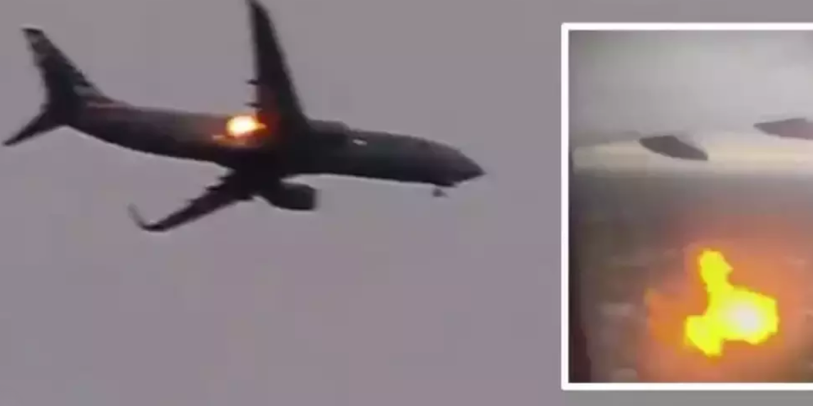 అరుదైన ఘటన: కుందేలు ఇంజన్లోకి వెళ్లడంతో ఫ్లైట్ అత్యవసర ల్యాండింగ్