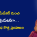 హోమ్మేకర్ నుంచి AI క్రియేటర్గా… అనురాధ కొత్త ప్రయాణం